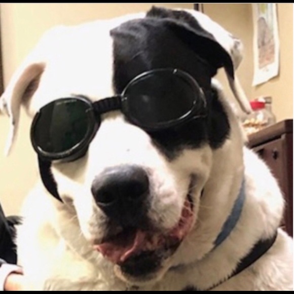 Meet your Posher, Beverly - Picture 1 of 4